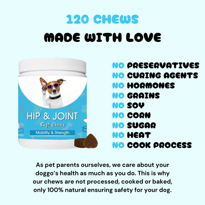 Pawsitive Hip & Joint Chews