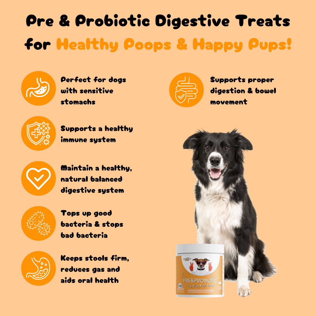 Pawsitive Pre & Probiotic Chews