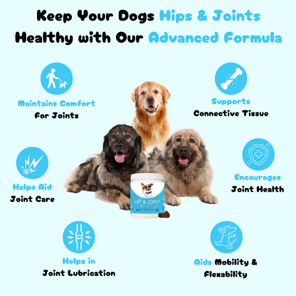 Pawsitive Hip & Joint Chews