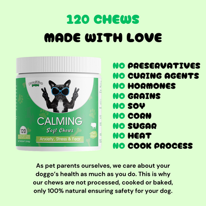 Pawsitive Calming Chews