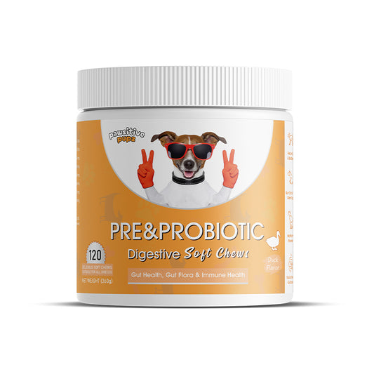 Pawsitive Pre & Probiotic Chews
