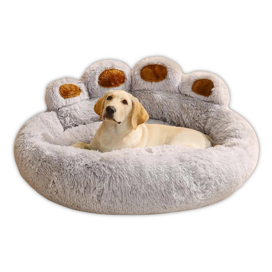 Pawsitive Dog Bed