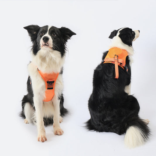 Viral Explosion-Proof Dog Harness